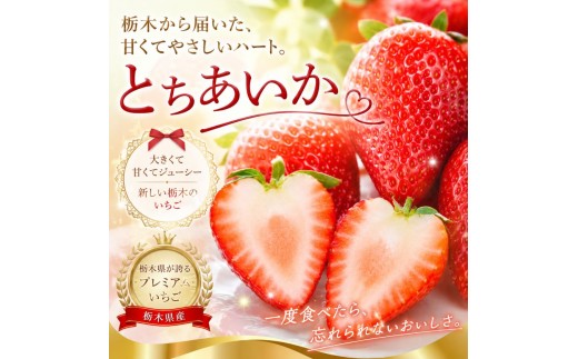 【先行予約】訳あり とちあいか 約 280g × 2P ｜【栃木県共通返礼品】いちご イチゴ 苺 訳あり 不揃い 粒 ハート 栃木県 那珂川町 送料無料