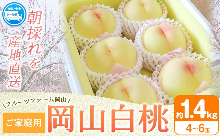 
                  桃  もも【2026年先行予約】桃 旬 岡山白桃 旬の桃 ご家庭用 1.4kg (4～6玉) フルーツファーム岡山《2026年6月下旬-8月下旬頃出荷》岡山県 浅口市 送料無料 フルーツ モモ 果物 青果 旬 国産 岡山県産【配送不可地域あり】
                