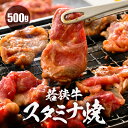 【ふるさと納税】若狭牛スタミナ焼き（味付け）500g（250g×2袋）【若狭牛 すね肉 ばら肉 牛肉 国産和牛 黒毛和牛 ブランド牛 牛 スタミナ 焼き肉 簡単調理 冷凍 小分けパック】