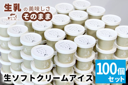 イベントやパーティにも◎生ソフトクリームアイス100個 80ml アイスクリーム ソフトクリーム スイーツ アイス デザート