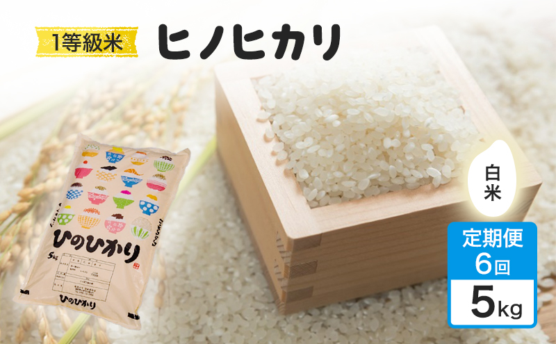 定期便 6回 米 1粒からこだわる 1等級米 ヒノヒカリ 白米5kg お米 コメ お楽しみ 6ヶ月 令和7年度産