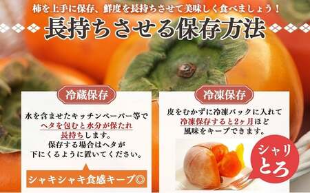 たねなし柿 約 5kg |  大人気 人気 柿 かき フルーツ 果物 奈良県 五條市 萩本農園 ギフト おすすめ 10月 発送 カキ 秋の味覚 旬 甘い 大容量 農家直送 産地直送 グルメ お取り寄せ