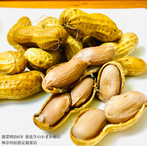 落花生 ピーナッツ 冷凍ゆでピー 6袋（約105ｇ/袋） / 秦野名産 落花生 縁起豆 ゆで ピーナッツ 神奈川 冷凍 おつまみ おやつ お土産 家族 セット お酒のお供 冷凍  011-02-1