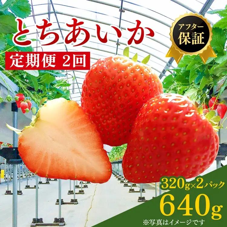 【先行予約】【定期便】いちご とちあいか 15粒入り320g 2パック 2ヶ月定期便 ※2027年1月～発送