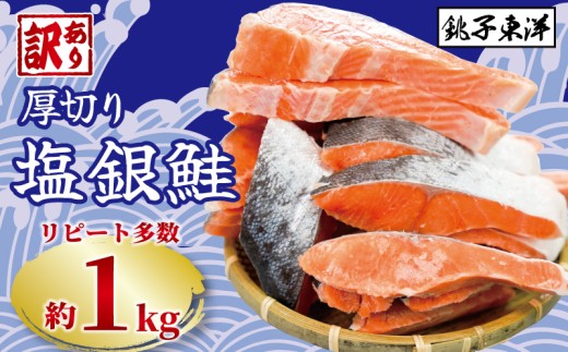鮭 訳あり 銀鮭 切身 厚切り 約1kg 銚子東洋 千葉県 銚子市 魚介類 海鮮 訳アリ 規格外 不揃い さけ サケ 鮭切身 シャケ 切り身 冷凍 家庭用 おかず 弁当 サーモン 銀鮭切り身 魚 わけあり 大容量 肉 厚 キャンペーン ランキング 送料無料 小分け に 便利 ふるさと納税 ふるさと納税鮭