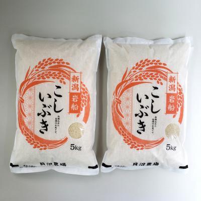ふるさと納税 村上市 新米【令和7年産米】こしいぶき 白米10kg(5kg×2) 新潟県村上市岩船産　1067103 | 