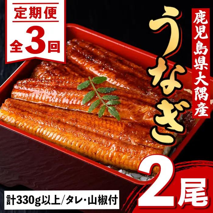 ＜定期便・計3回(連続)＞うなぎ蒲焼・大(有頭)(2尾・計330g以上×3回、タレ、山椒付)鹿児島 国産 鰻 うなぎ ウナギ 蒲焼き うな丼 うな重 ひつまぶし 土用の丑の日 真空パック お土産 贈答 ギフト プレゼント【一般社団法人きもつき宇宙協議会】E57003
