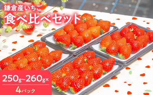 【期間限定】鎌倉産いちご　4パック食べ比べセット（250ｇ～260ｇ×4パック）