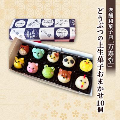 ふるさと納税 羽後町 どうぶつの上生菓子おまかせ10種(計10個)[No.5325-0436]