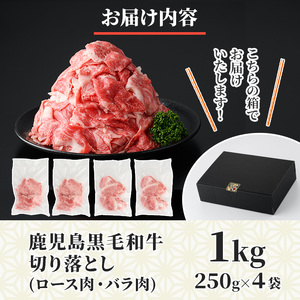 No.1039 ＜訳あり＞鹿児島黒毛和牛ロース・バラ切り落とし(250g×4袋・計1kg) 鹿児島県産 牛肉 黒毛和牛 和牛 ロース 肩ロース バラ バラ肉 冷凍【NBフード】