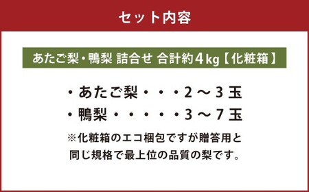 あたご梨 2～3玉・鴨梨（ヤーリー） 3～7玉 詰合せ 合計約4kg 化粧箱 梨 ナシ なし 愛宕梨 あたごなし ジャンボ梨 【2026年11月下旬～12月下旬発送予定】
