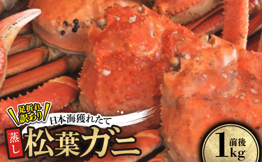 【先行予約】訳あり足が折れた蒸し松葉ガニ1kg前後　※11月中旬から順次発送【配送不可地域：離島・北海道・沖縄県】