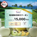 【ふるさと納税】【福井県あわら市】 日本旅行 地域限定旅行クーポン【15,000円分】 ／ 旅行 宿泊 旅館 ホテル 宿泊券 チケット 北陸新幹線 観光 あわら温泉 北陸 福井県 あわら市