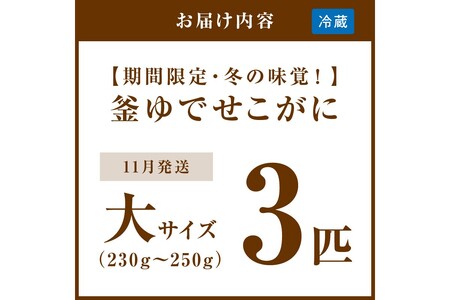 【期間限定・冬の味覚！】釜ゆでせこがに 大サイズ (230ｇ～250ｇ) 3匹入り （11月発送）／北畿水産