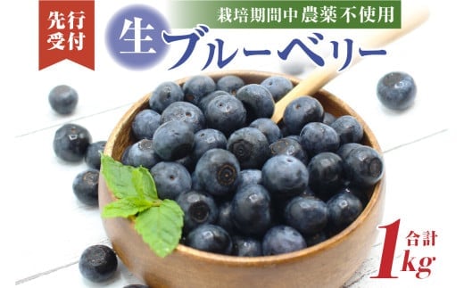 
                  栽培期間中農薬・有機肥料で丹精込めて栽培した「ブルーベリー」1kg 国産【JAほたるの里】_HA0273 | 無農薬 ブルーベリー 果物 フルーツ 
                