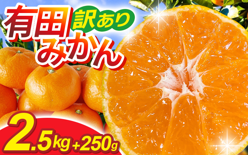 【先行予約】家庭用有田みかんサイズ混合(2S～2L)2.5kg+250g 11月より発送(完熟)/ みかん ミカン 有田みかん 柑橘 フルーツ 果物 和歌山 オレンジ【ikd173B】 