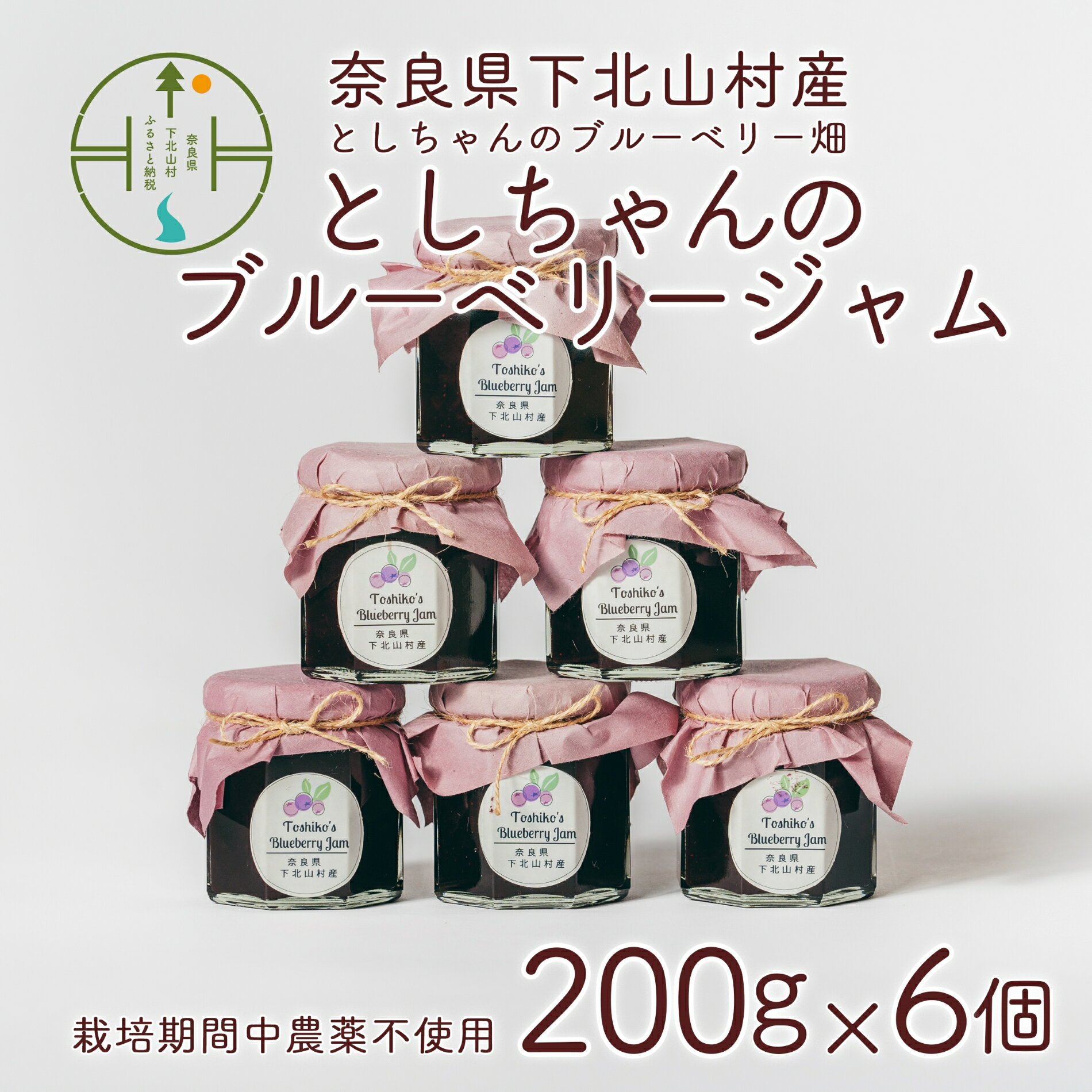 【ふるさと納税】先行受付 9月～発送 無農薬 無添加 としちゃんのブルーベリージャム200gx6個 手摘み 下北山村産