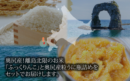 奥尻産 ふっくりんこ＆粒ウニセット（ふっくりんこ300g×3袋・粒ウニ×1本） OKUH029