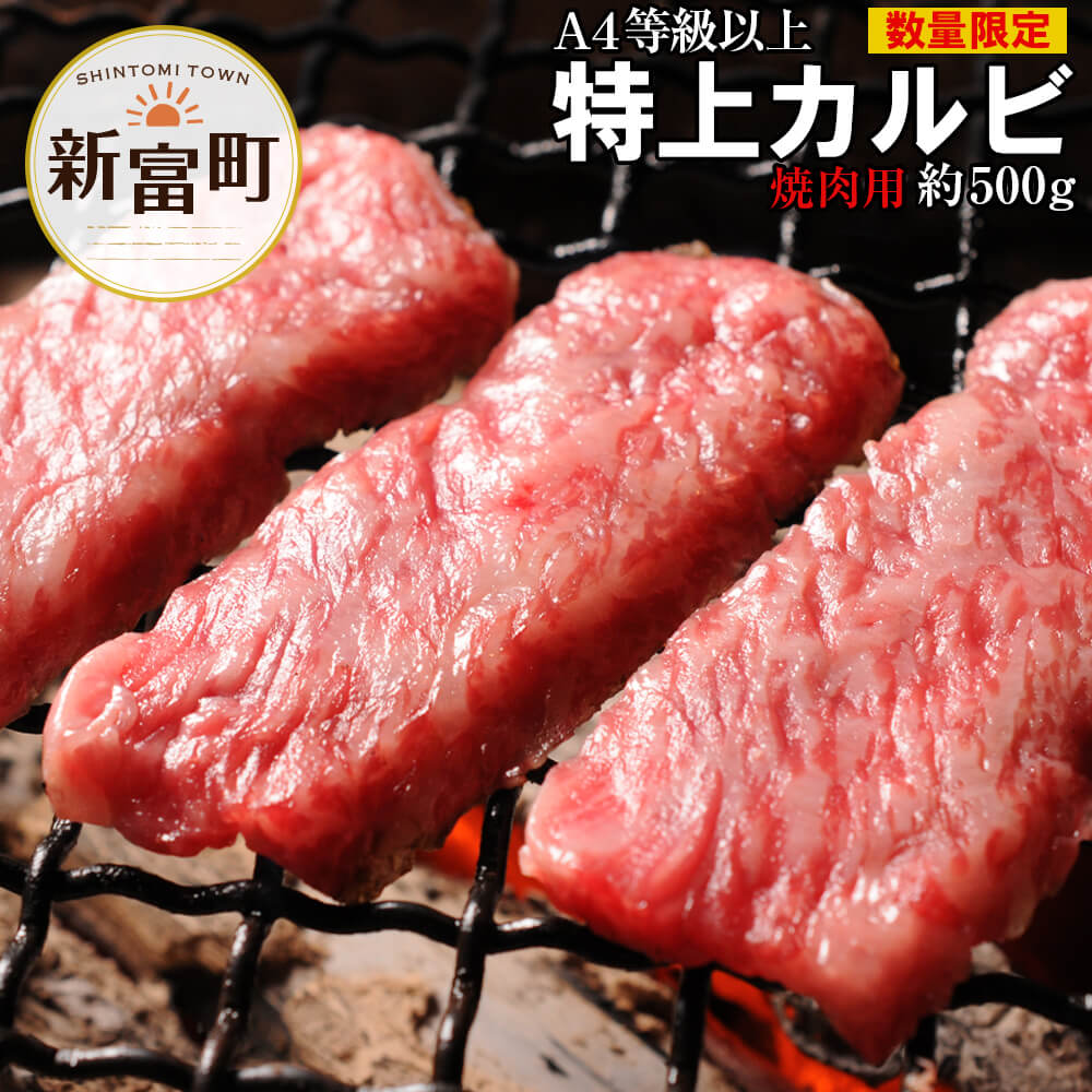 【ふるさと納税】宮崎黒毛和牛＜こゆ牛＞カルビ焼肉 計500g 感謝盛り A4等級以上 ブランド牛 宮崎県産 冷凍 和牛 牛肉 国産 送料無料