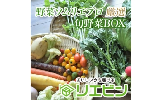 ＜毎月定期便＞＜下旬発送＞こだわりの旬野菜BOX「リエビン」季節の野菜セット全12回【4012347】