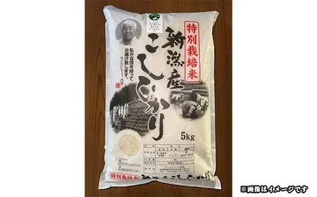 P1-01新潟県長岡産特別栽培米コシヒカリ 5kg【「小さな生き物たちと育むお米」認証品】