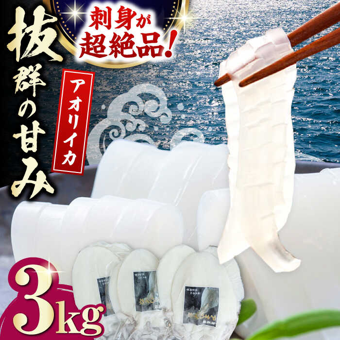 【ふるさと納税】対馬産 アオリイカ 3kg《対馬市》【保家商事】烏賊 いか 刺身 海鮮 冷凍[WAA031]