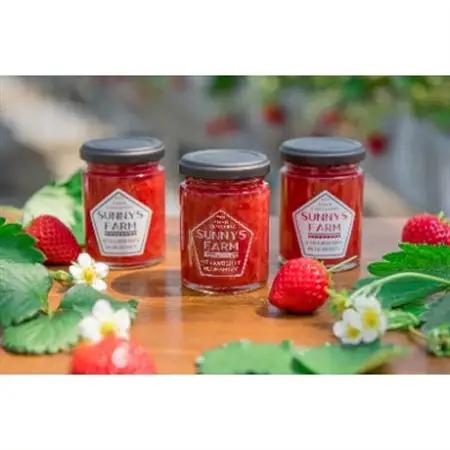 無添加　純苺ジャムとシロップの詰め合わせ_惣菜・加工品 ジャム 缶詰・瓶詰   惣菜・加工品  缶詰・瓶詰 _【配送不可地域：離島】【1210427】