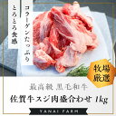 【ふるさと納税】《佐賀牛》梁井 コラーゲンたっぷり スジ肉盛り合わせ 1kg【佐賀牛 スジ肉 コラーゲン ぷるぷる やわらか 煮込み料理 美味しい ブランド肉】 A5-R081004