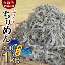 【ふるさと納税】【限定】 高評価★4.76 ぷっくり ちりめん 選べる 400 ~ 1 kg【しらす干し ちりめんじゃこ シラス】