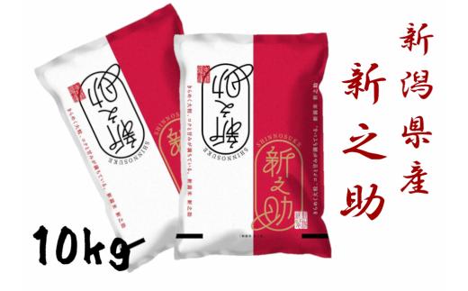 【令和7年産】新潟産 新之助 10kg (5kg×2袋) 米 こめ コメ 精米 白米 【大人気のため予告なしに受付休止・再開します】1N02026