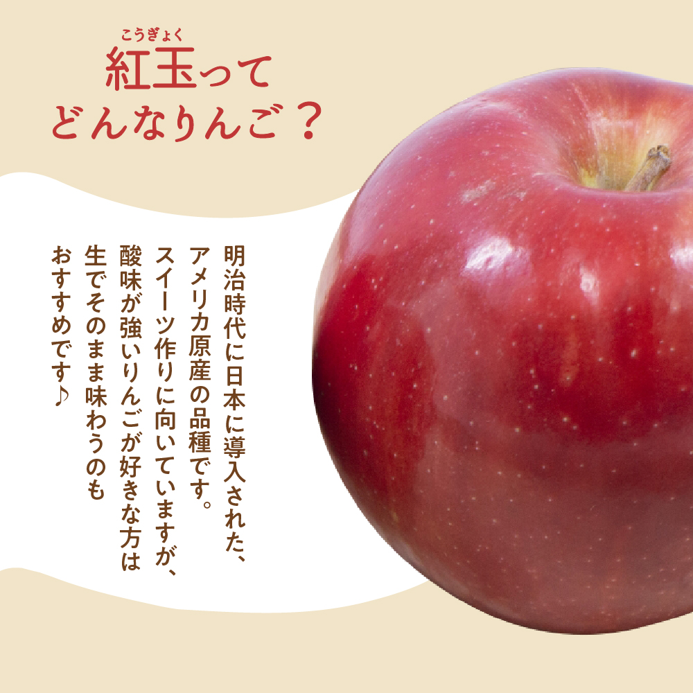 【2025年10月中旬発送】【訳あり】 りんご 5kg 紅玉 アップルパイ に最適 青森 不揃い