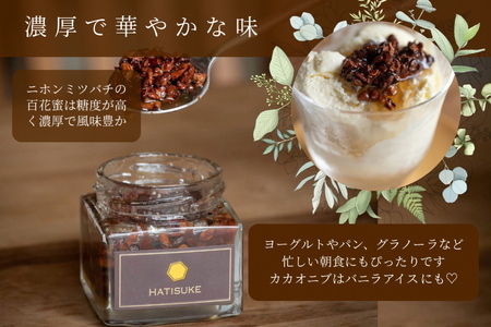 【数量限定】京都産 生はちみつ 3個セット【2種類】カカオニブはちみつ 110g×1個／プレーン生はちみつ 130g×2個《二ホンミツバチの生はちみつ 国産 純粋 蜂蜜 非加熱 無添加 ハチミツ 希少