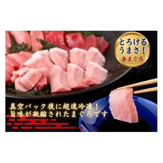 【 大トロ 中トロ 赤身 】本マグロ 1kg 海鮮丼 A122