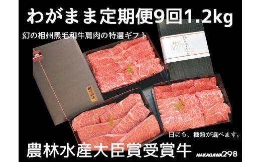 
牛肉 定期便 9回 幻の相州黒毛和牛肩肉 1.2kg×9回 計10.8kg【相州黒毛和牛 相州牛 幻の牛肉 極上の旨味と風味 キメ細かな上質の脂 様々な料理に ブランド牛 ブランド牛肉 神奈川特産品 神奈川県 小田原市 】
