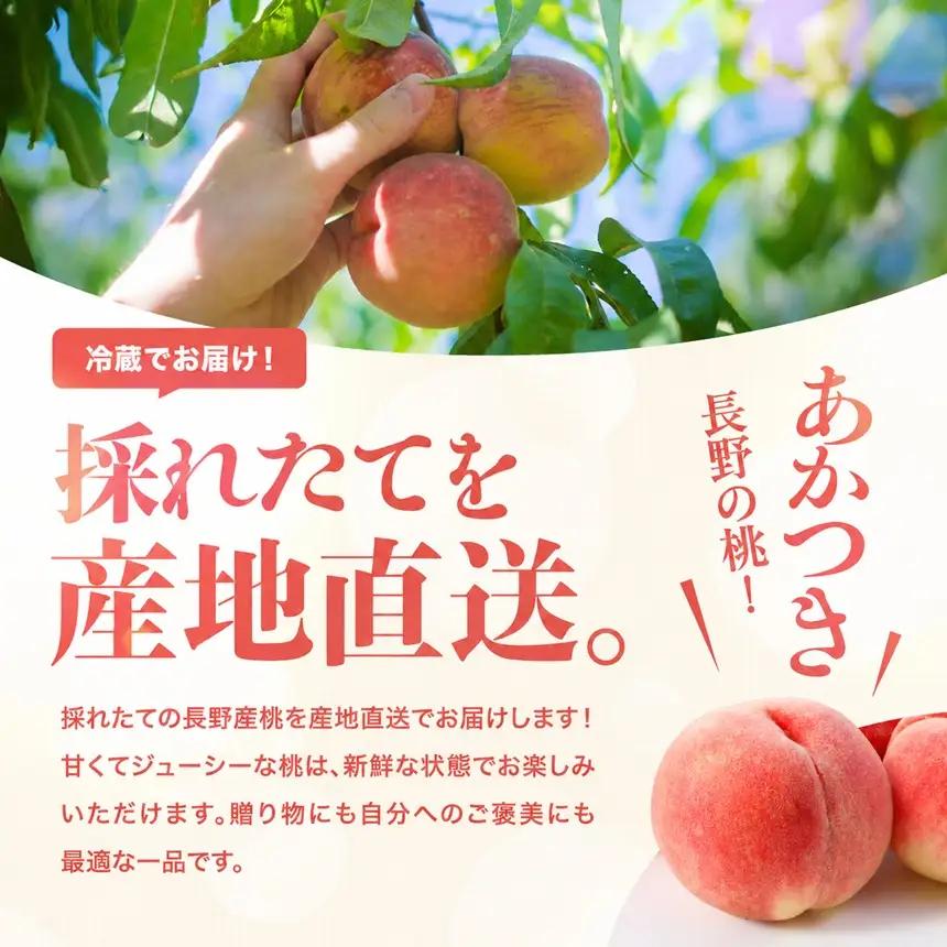 桃 あかつき 糖度13度以上 約3kg 9～10個入 【2026年7月中旬～発送】