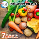 【ふるさと納税】【先行予約】小浜市産 秋冬野菜セット 7品目以上 | 野菜 セット 詰合せ 地産地消 野菜セット 新鮮 旬 旬の野菜 冷蔵 送料無料 [Y-099001]