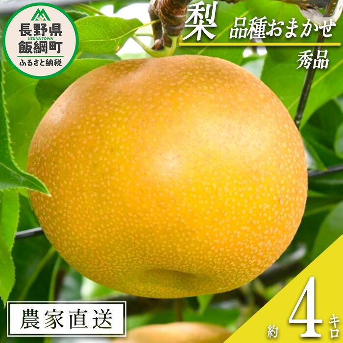 【ふるさと納税】 梨 朝どれ 和梨 秀品 4kg 以上 窪田農園 本州限定 令和7年度収穫分 除草剤不使用 長野県 飯綱町 〔 梨 なし ナシ 信州 長野 〕発送時期：2025年9月上旬〜2025年10月上旬