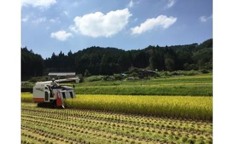農家直送「山ちゃんのお米」ミルキークイーン5kg