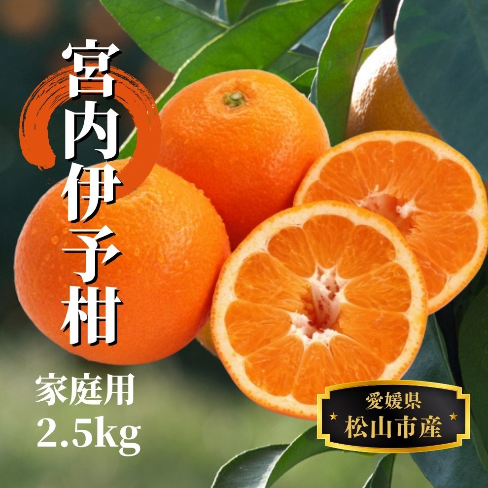 【ふるさと納税】 【宮内伊予柑】家庭用 約2.5kg ＜2026年2月から3月中旬頃発送＞ | 愛媛 みかん 先行予約 蜜柑 柑橘 果物 くだもの フルーツ お取り寄せ グルメ 期間限定 数量限定 人気 おすすめ 愛媛県 松山市