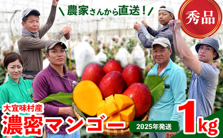 マンゴー【2026年発送】濃密マンゴー《秀品・約1kg》