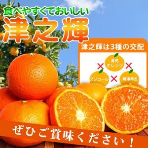 津之輝(つのかがやき)　5kg【日高町】【1217232】