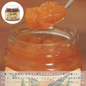 愛媛県産フルーツジャム（せとか・伊予柑）2種食べ比べセット（270g×6瓶） みきゃんの列車箱入り ギフトにも最適 愛媛果汁食品