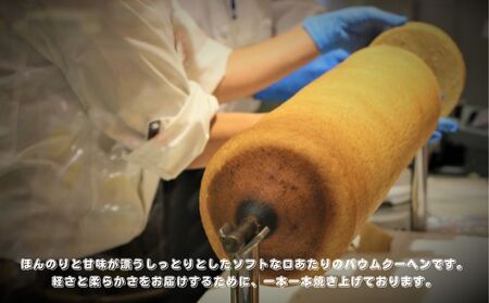 やわらかバウムクーヘン　中 ハタダ バウムクーヘン やわらか 菓子 ふわふわ 畑田本舗 