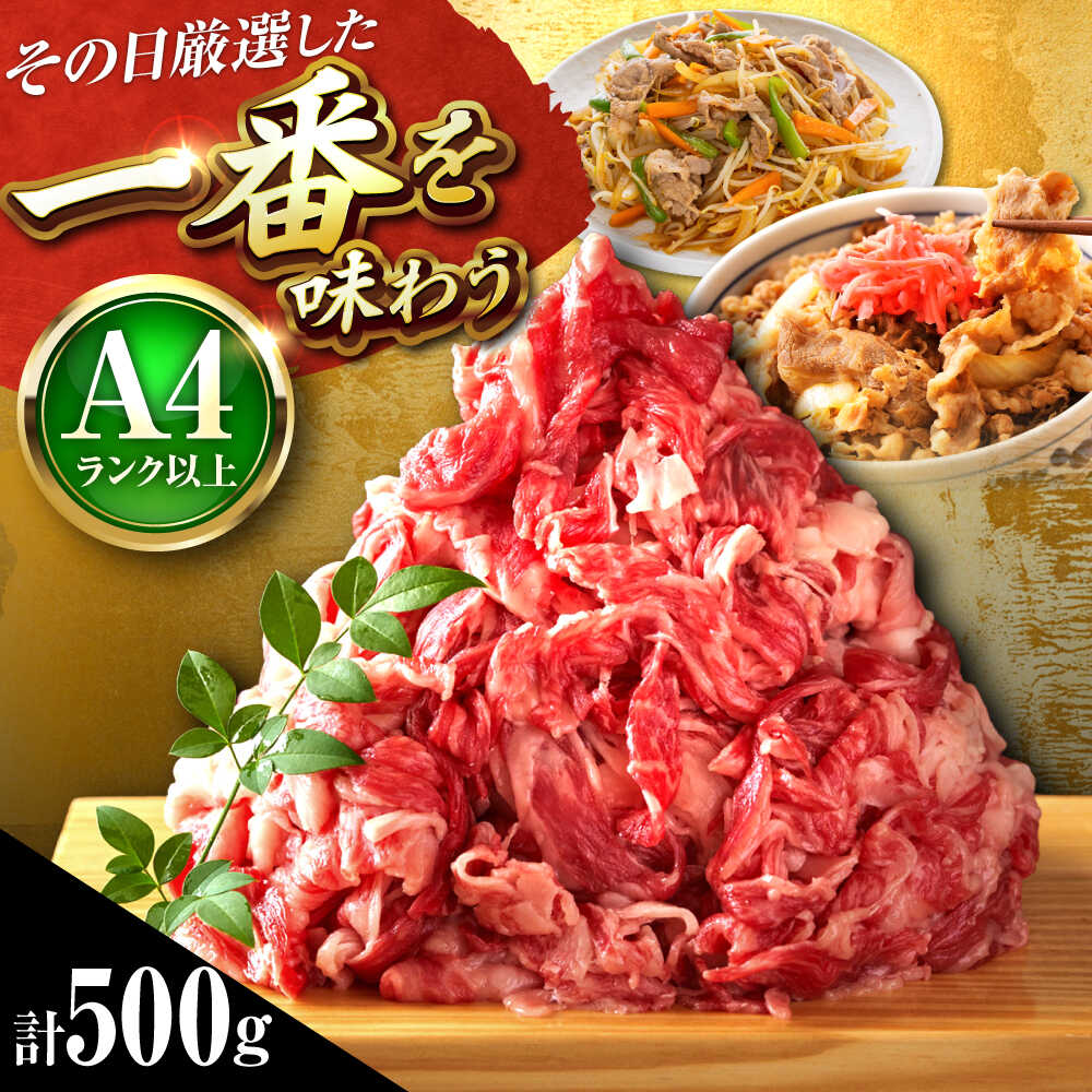 【ふるさと納税】【A4〜A5】 博多和牛 切り落とし 500g 吉富町/株式会社MEAT PLUS[BGAB065] お肉 肉 牛 牛肉 和牛 黒毛和牛 切り落とし肉 きりおとし 国産牛 国産 炒め物 すき焼き しゃぶしゃぶ 牛丼 小分け 赤身 冷凍 福岡 ギフト 肉ギフト 人気 おすすめ