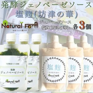 発酵ジェノベーゼソース＆塩麹　各3パックセット B5-12【配送不可地域：離島】【1619070】