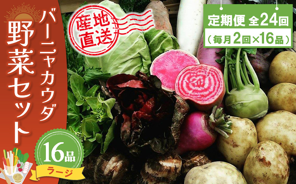 
年間定期便24回 バーニャカウダ野菜セットラージ 16品 【有機野菜 おまかせ野菜セット イタリア野菜 西洋野菜 定期便】(H078123)
