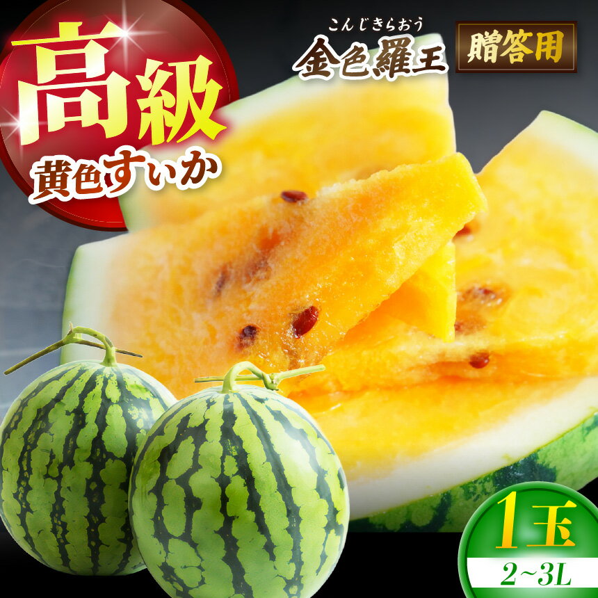 【ふるさと納税】【先行受付：7月～発送】 信州松本平産 贈答用 高級黄色すいか【金色羅王(こんじきらおう)2～3L 1個】～黄金色に輝く、夏の宝玉。信州の清流と太陽が育てた奇跡の一玉～ │ すいか スイカ 野菜 夏 果物 新鮮 長野県 信州 松本 ふるさと納税