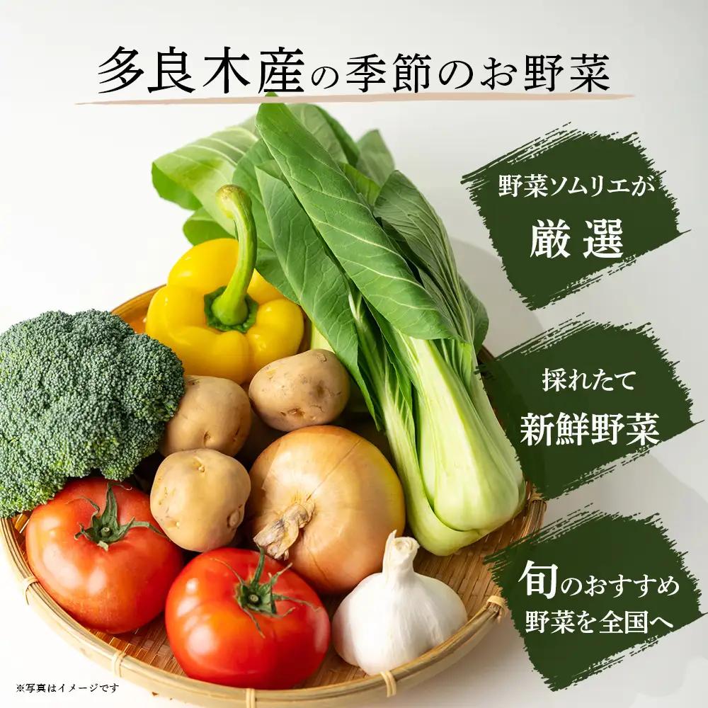 【定期便 6回】野菜ソムリエ 監修 旬の おすすめ 野菜 セット 4〜6品 (1〜2名様向け) 6回配送 数量限定 新鮮 野菜 セット 詰め合わせ 詰合せ 定期便 産地 直送 国産 季節の野菜 ひとり