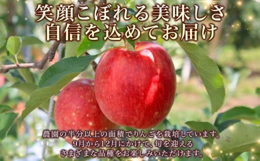 サンふじ 3kg （S規格）10～12玉