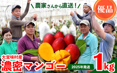 マンゴー【2026年発送】濃密マンゴー《優品・約1kg》